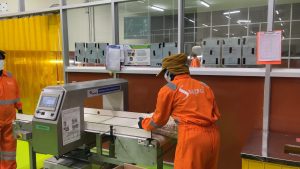 Metal Detector Cashew