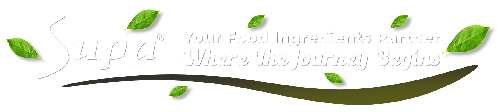 Trusted Food Ingredients Manufacturer of Spices, Seasonings & Nuts